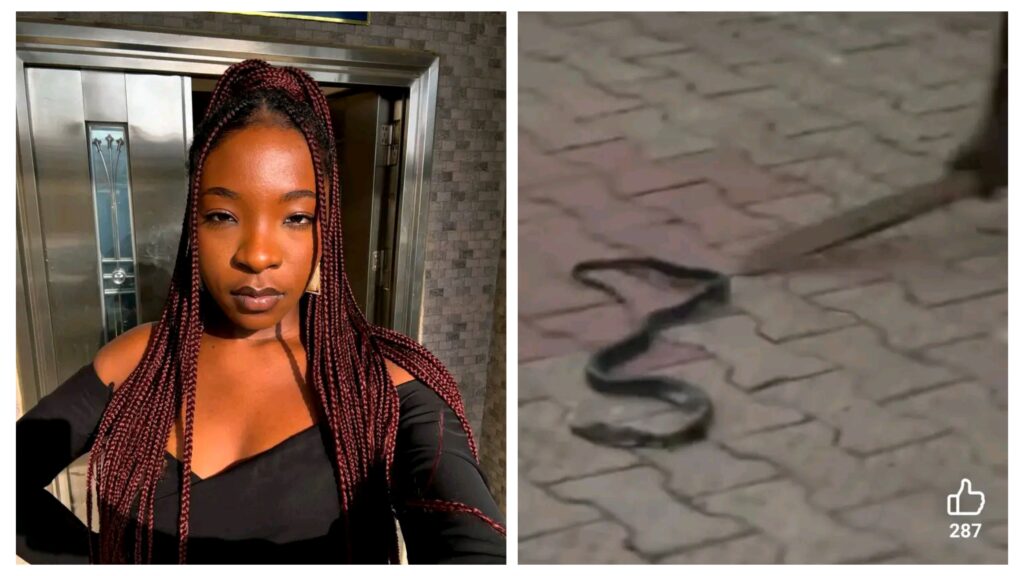 VIDEO: Ifunanya Nwangene has been unalived after being bitten by two snakes