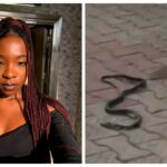 VIDEO: Ifunanya Nwangene has been unalived after being bitten by two snakes