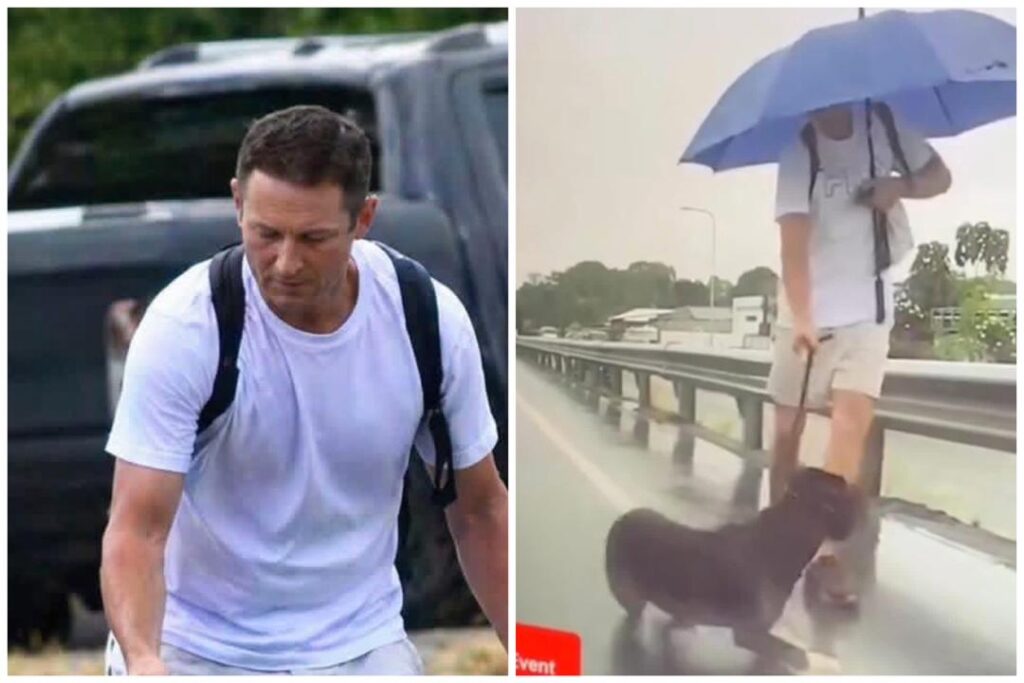 VIDEO: Dog with RSPCA after owner, Thomas Dunlea, kicked it under the rain in Boulevard Broadbeach