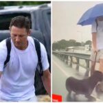 VIDEO: Dog with RSPCA after owner, Thomas Dunlea, kicked it under the rain in Boulevard Broadbeach