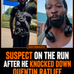 Suspect on the run after he knocked down Quentin Ratliff in Olive Branch