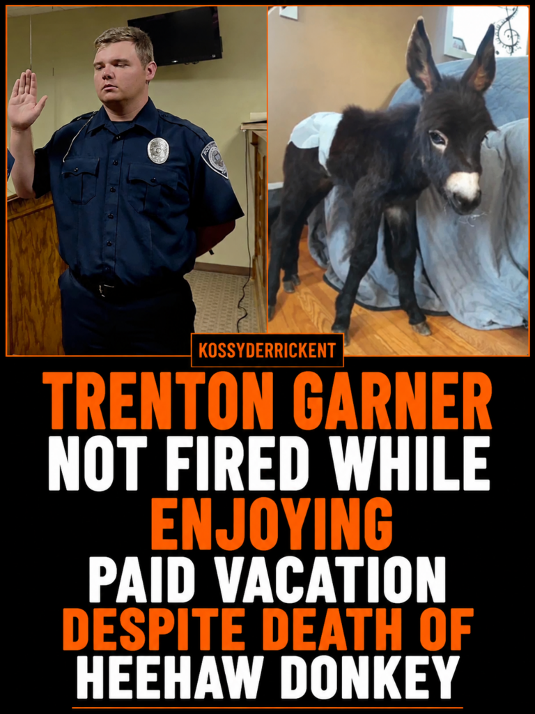Trenton Garner not fired while enjoying paid vacation despite death of HeeHaw donkey
