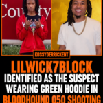 Lilwick7block identified as the suspect wearing green hoodie in Bloodhound Q50 shooting