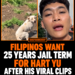 Filipinos want 25 years jail term for Hart Yu after his viral clips