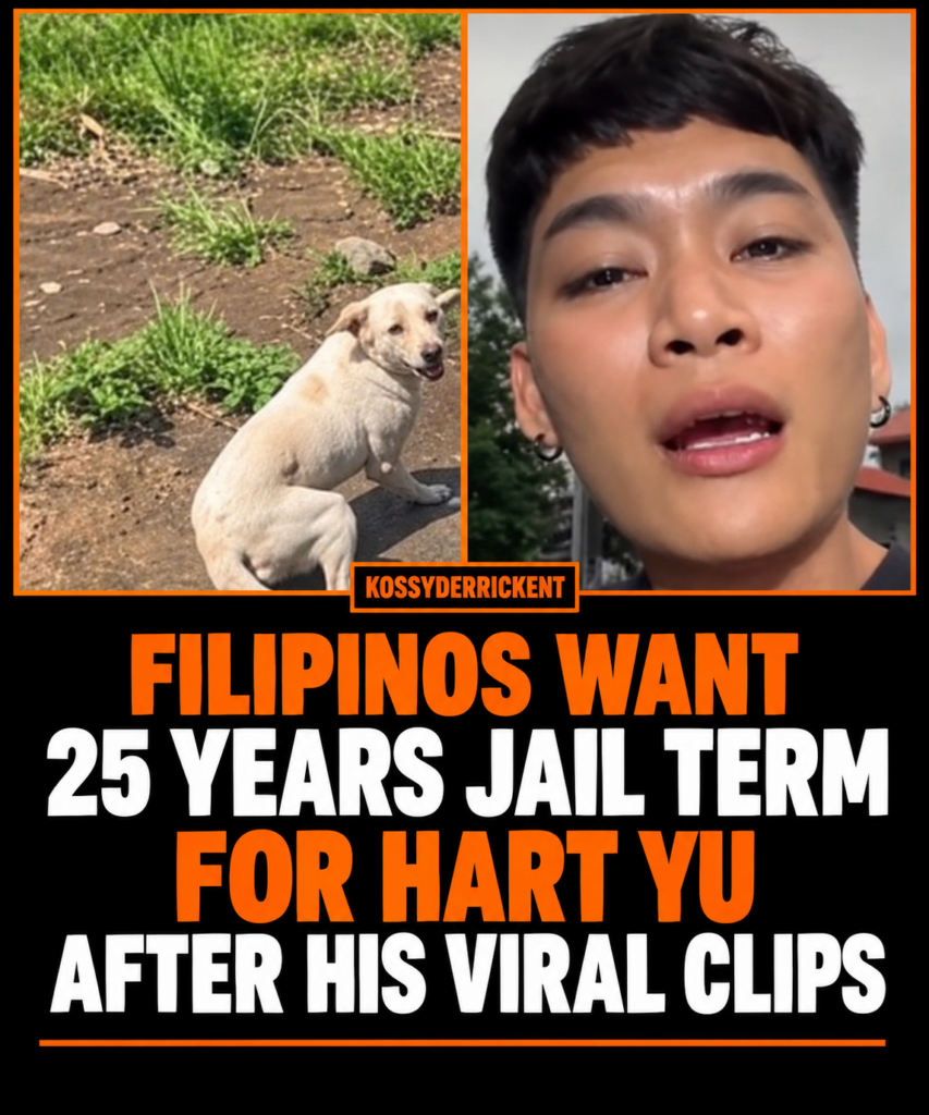 Filipinos want 25 years jail term for Hart Yu after his viral clips