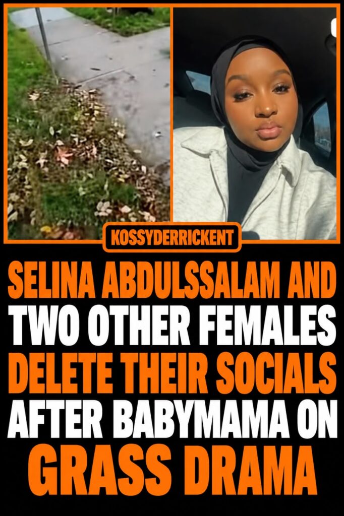 Selina Abdulssalam and two other females delete their socials after babymama on grass drama
